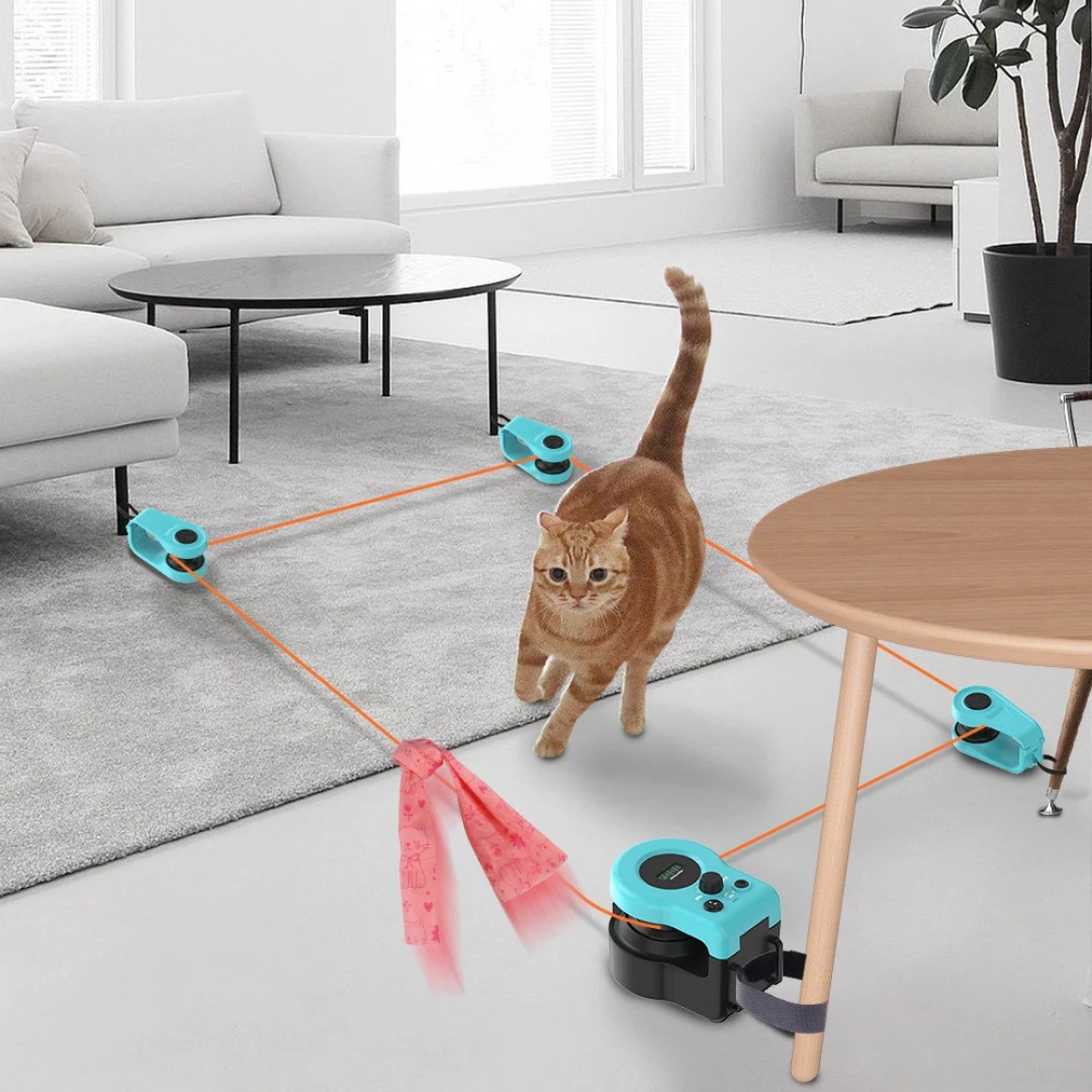 ™Pawvix | צעצוע אינטראקטיבי לחיות מחמד – צעצוע חשמלי לפנים לבית