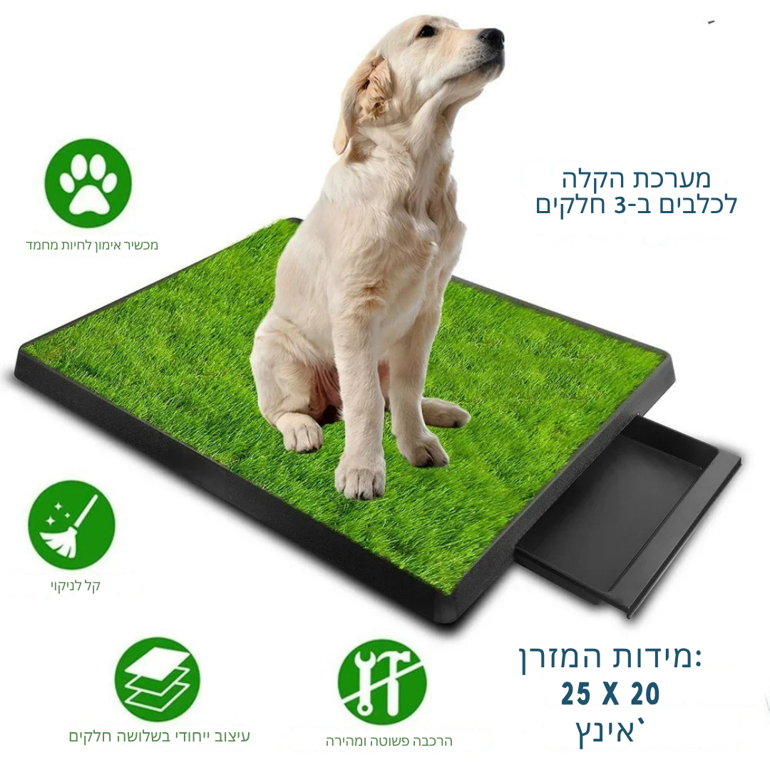 ™Zylo | ארגז חול לחיות מחמד – דשא סינתטי, מגש רשת 3 שכבות