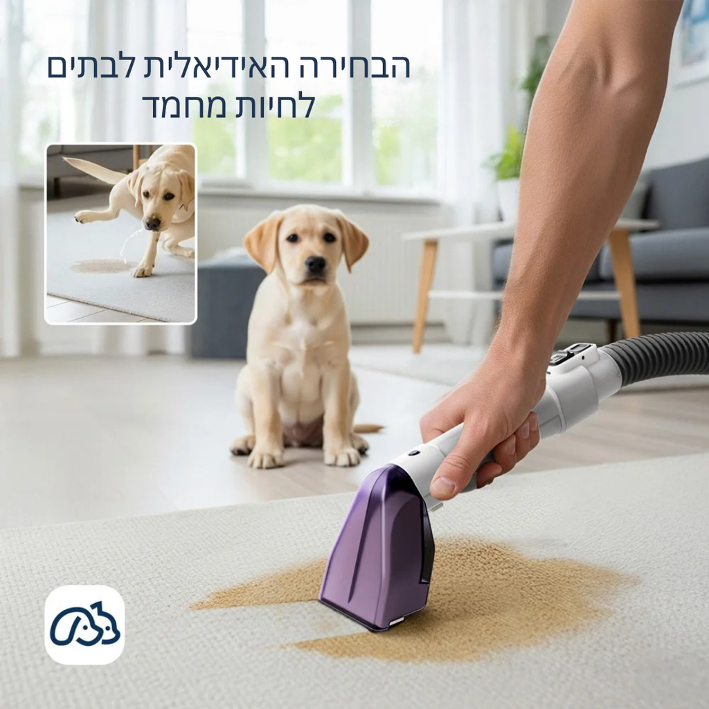 ™Maxi | מכונת ניקוי שטיחים וריפודים ניידת – ניקוי עמוק
