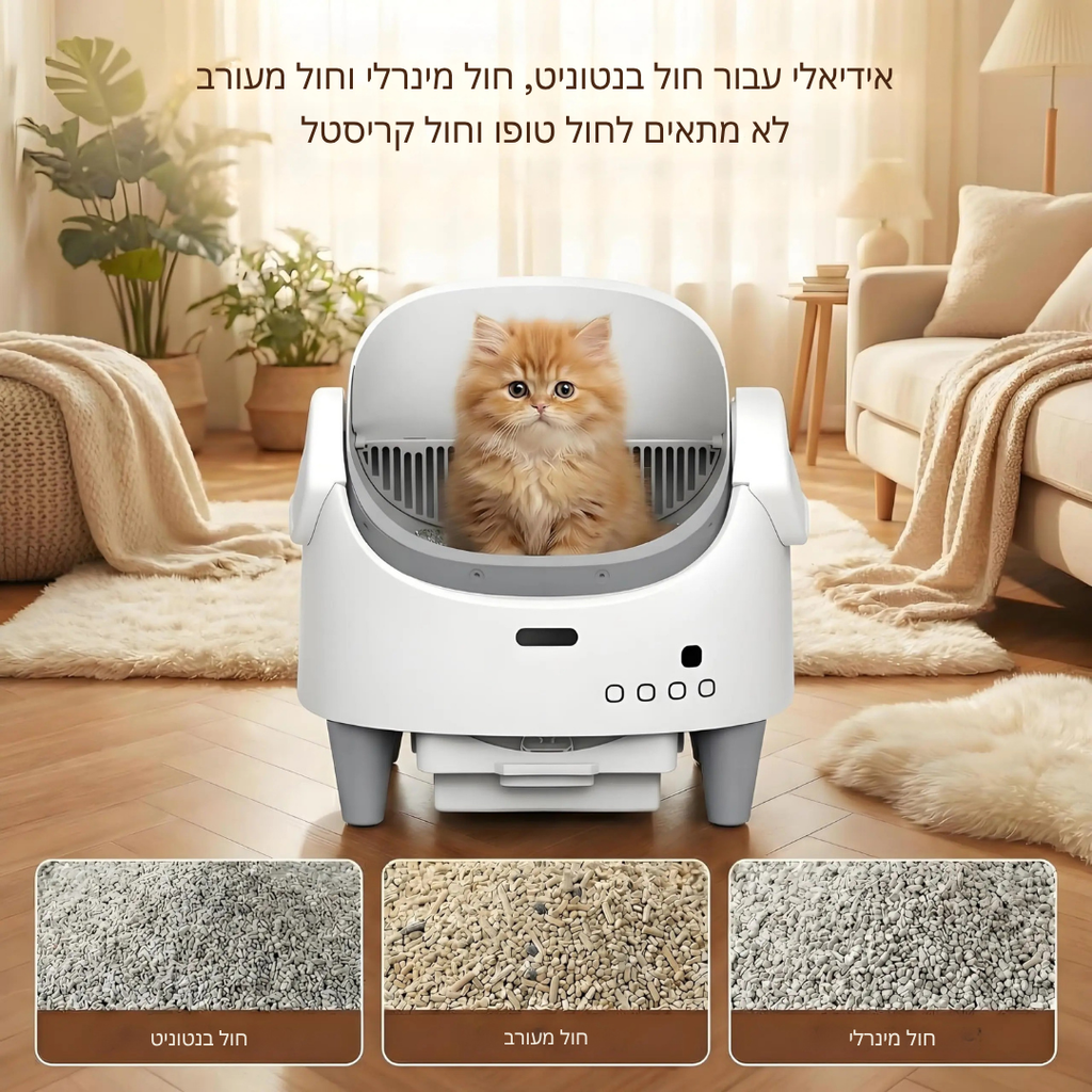 ™Meor | ארגז חול למספר חתולים – חיישנים חכמים